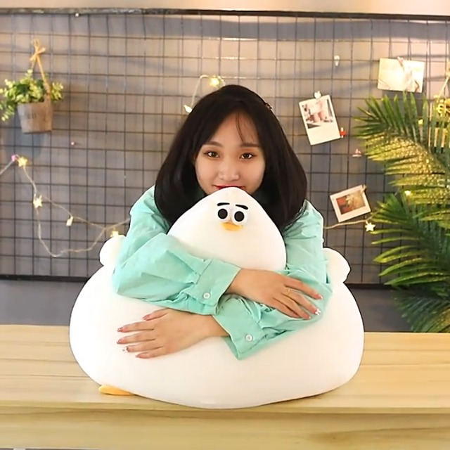 Amazon.com: 26/40cm Simulation Mother Hen Doll, Funny Fat Chicken